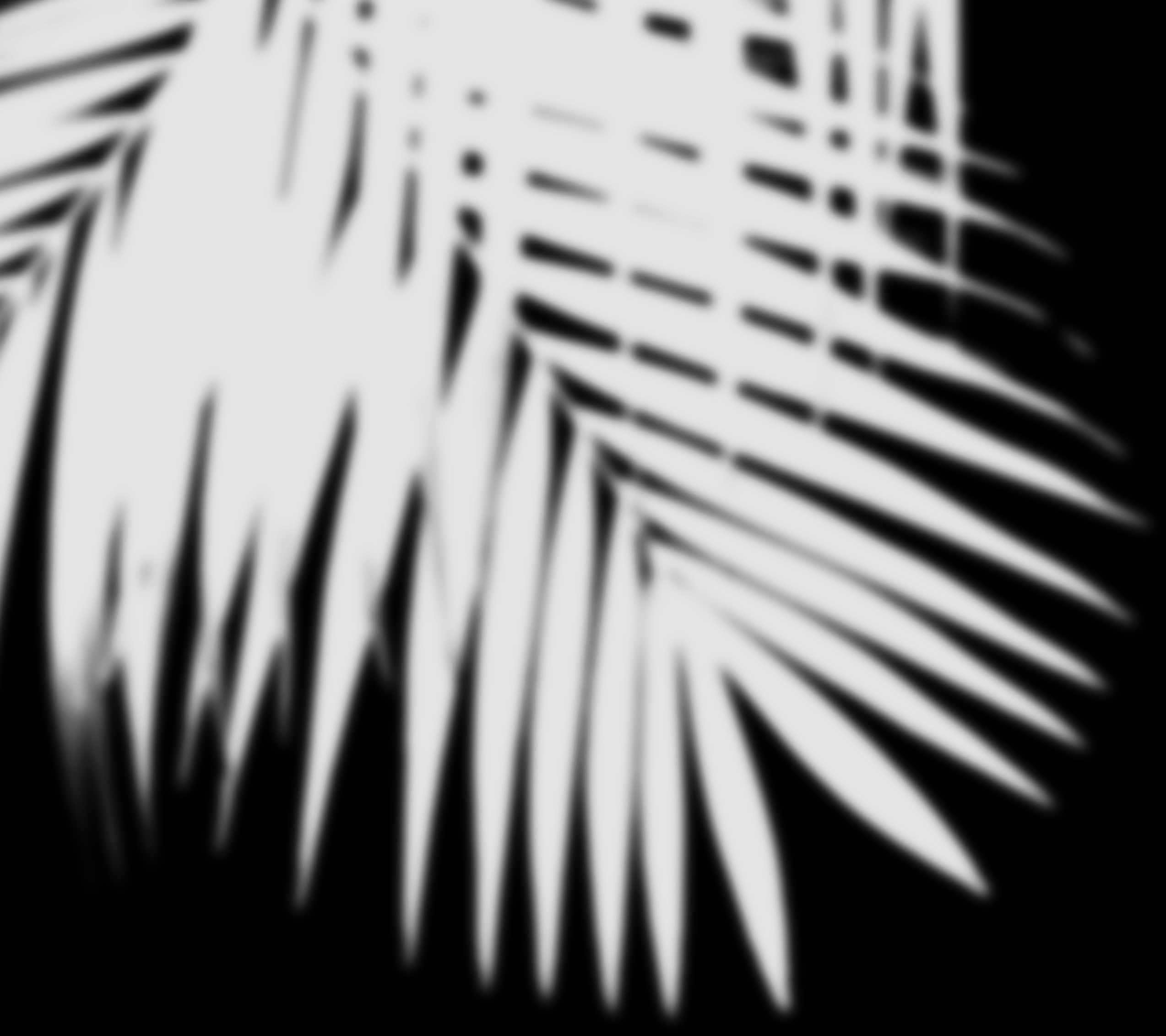 04.png